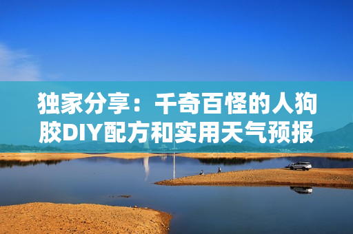 独家分享：千奇百怪的人狗胶DIY配方和实用天气预报免费获取