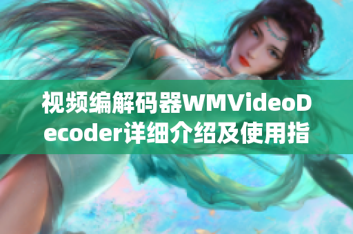 视频编解码器WMVideoDecoder详细介绍及使用指南(1)