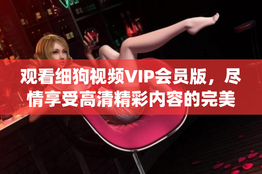 观看细狗视频VIP会员版，尽情享受高清精彩内容的完美体验(1)