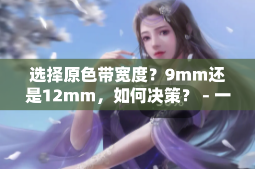 选择原色带宽度？9mm还是12mm，如何决策？ - 一个指南