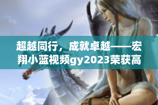 超越同行，成就卓越——宏翔小蓝视频gy2023荣获高评价