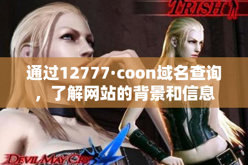 通过12777·coon域名查询，了解网站的背景和信息