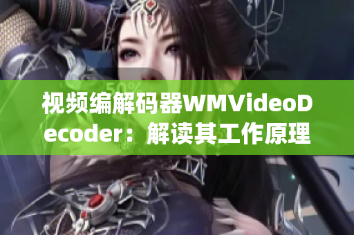 视频编解码器WMVideoDecoder：解读其工作原理和应用领域(1)