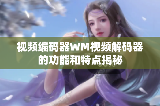 视频编码器WM视频解码器的功能和特点揭秘