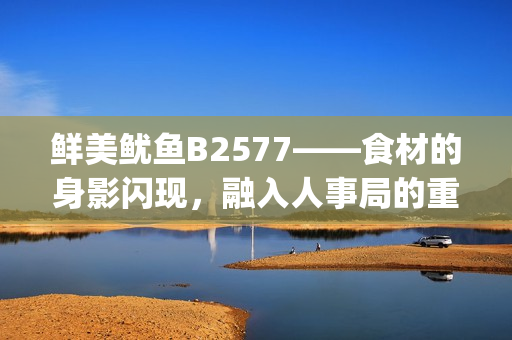 鲜美鱿鱼B2577——食材的身影闪现，融入人事局的重要职责(1)