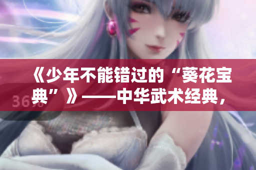 《少年不能错过的“葵花宝典”》——中华武术经典，青少年入门必读！