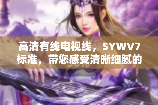 高清有线电视线，SYWV7标准，带您感受清晰细腻的视听盛宴