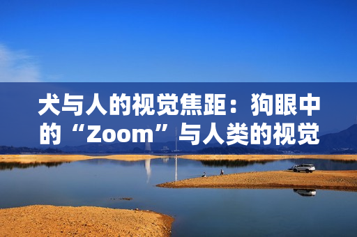 犬与人的视觉焦距：狗眼中的“Zoom”与人类的视觉能力对比