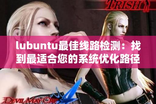 lubuntu最佳线路检测：找到最适合您的系统优化路径