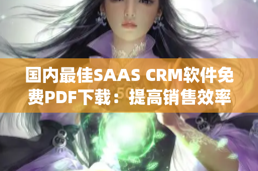 国内最佳SAAS CRM软件免费PDF下载：提高销售效率的秘诀(1)