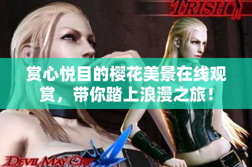 赏心悦目的樱花美景在线观赏，带你踏上浪漫之旅！