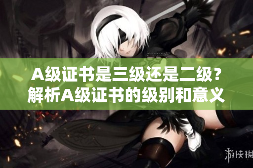A级证书是三级还是二级？解析A级证书的级别和意义