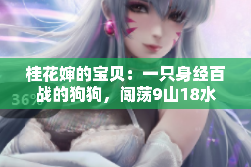 桂花婶的宝贝：一只身经百战的狗狗，闯荡9山18水