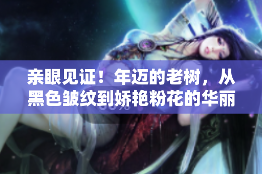 亲眼见证！年迈的老树，从黑色皱纹到娇艳粉花的华丽转变
