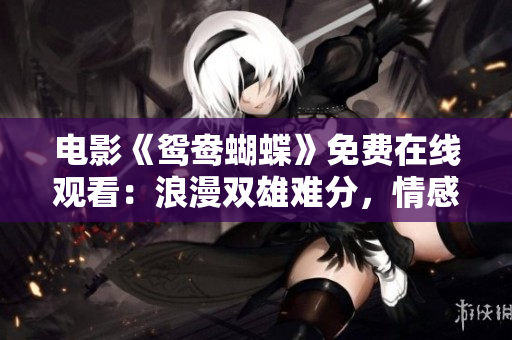 电影《鸳鸯蝴蝶》免费在线观看：浪漫双雄难分，情感纠葛悉数揭秘