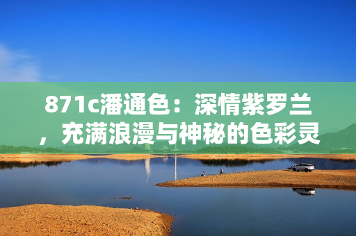 871c潘通色：深情紫罗兰，充满浪漫与神秘的色彩灵感