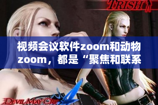 视频会议软件zoom和动物zoom，都是“聚焦和联系”的关键 