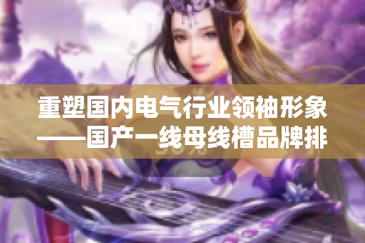 重塑国内电气行业领袖形象——国产一线母线槽品牌排名前五