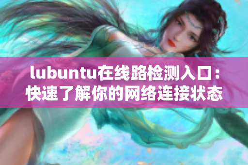 lubuntu在线路检测入口：快速了解你的网络连接状态