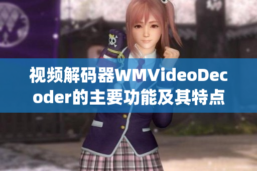 视频解码器WMVideoDecoder的主要功能及其特点(1)