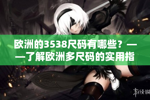 欧洲的3538尺码有哪些？——了解欧洲多尺码的实用指南