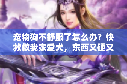 宠物狗不舒服了怎么办？快救救我家爱犬，东西又硬又烫又臭！