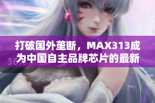 打破国外垄断，MAX313成为中国自主品牌芯片的最新里程碑
