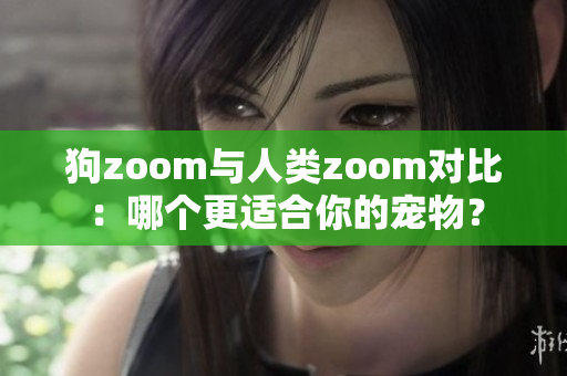 狗zoom与人类zoom对比：哪个更适合你的宠物？