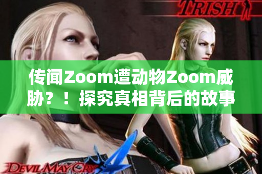 传闻Zoom遭动物Zoom威胁？！探究真相背后的故事