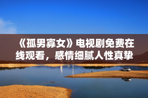 《孤男寡女》电视剧免费在线观看，感情细腻人性真挚，深受观众喜爱