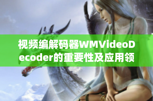 视频编解码器WMVideoDecoder的重要性及应用领域分析(1)