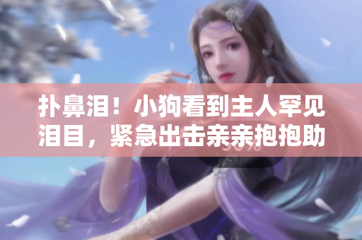 扑鼻泪！小狗看到主人罕见泪目，紧急出击亲亲抱抱助它减压