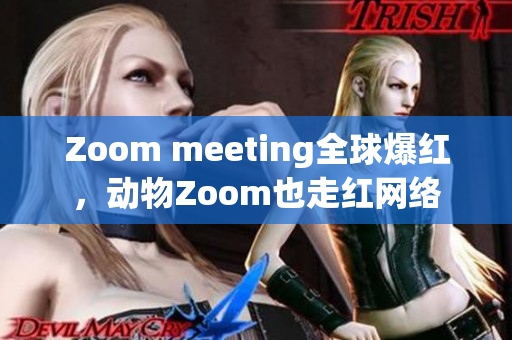 Zoom meeting全球爆红，动物Zoom也走红网络