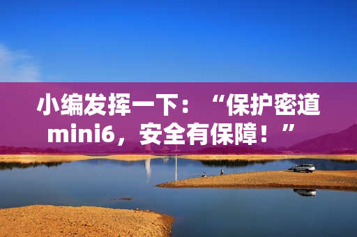 小编发挥一下：“保护密道mini6，安全有保障！” 