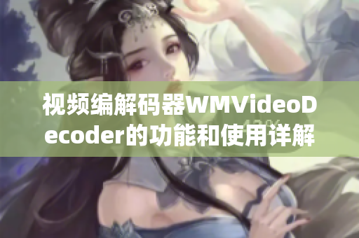 视频编解码器WMVideoDecoder的功能和使用详解(1)