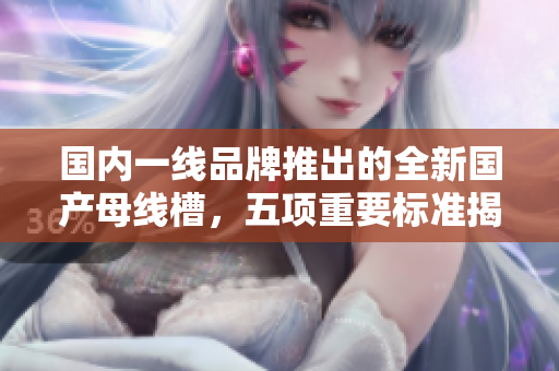 国内一线品牌推出的全新国产母线槽，五项重要标准揭秘