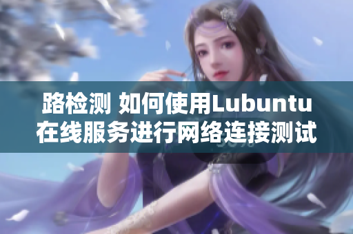 路检测 如何使用Lubuntu在线服务进行网络连接测试