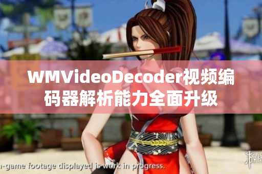 WMVideoDecoder视频编码器解析能力全面升级