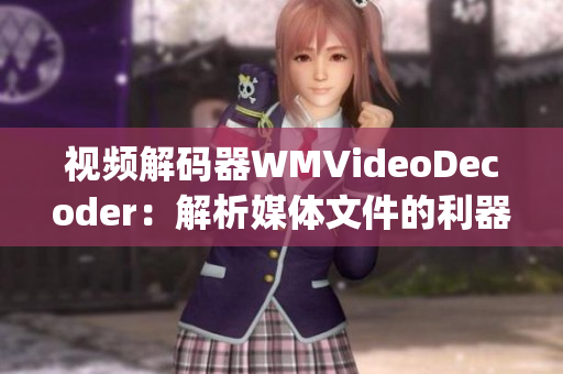 视频解码器WMVideoDecoder：解析媒体文件的利器(1)