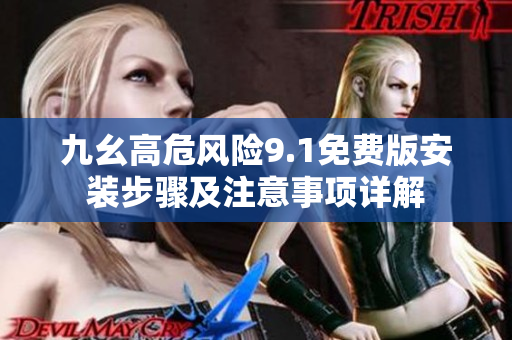 九幺高危风险9.1免费版安装步骤及注意事项详解