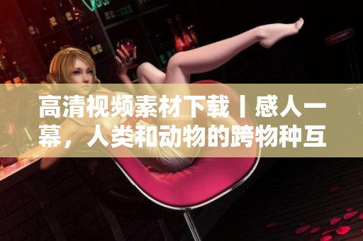 高清视频素材下载丨感人一幕，人类和动物的跨物种互动令人感动！