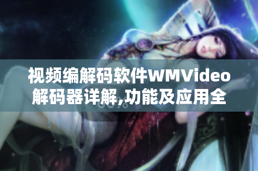 视频编解码软件WMVideo解码器详解,功能及应用全面介绍