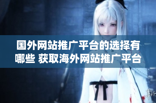 国外网站推广平台的选择有哪些 获取海外网站推广平台相关信息!(1)