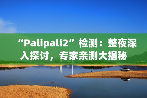 “Palipali2”检测：整夜深入探讨，专家亲测大揭秘