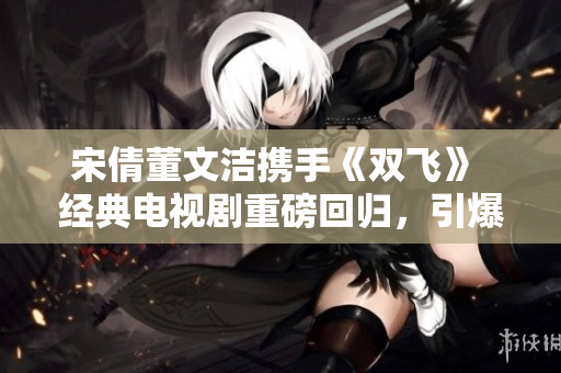 宋倩董文洁携手《双飞》 经典电视剧重磅回归，引爆怀旧潮