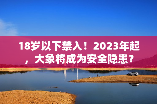 18岁以下禁入！2023年起，大象将成为安全隐患？