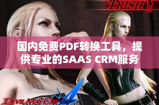 国内免费PDF转换工具，提供专业的SAAS CRM服务