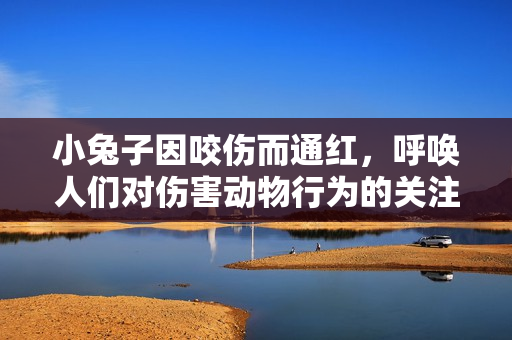 小兔子因咬伤而通红，呼唤人们对伤害动物行为的关注