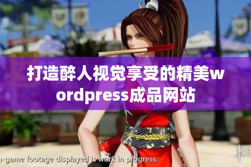 打造醉人视觉享受的精美wordpress成品网站