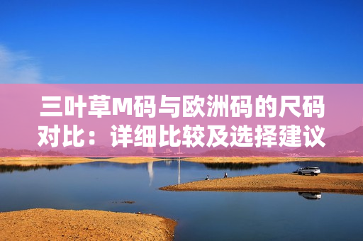 三叶草M码与欧洲码的尺码对比：详细比较及选择建议